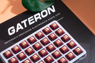 Gateron Quinn 5pin Tactile Switch_img_1