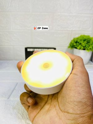 Motion Sensor Light_img_1