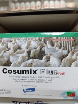 cosumix plus vet_img_0