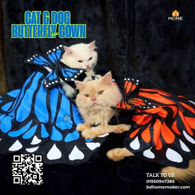 Blue premium butterfly gown_img_4