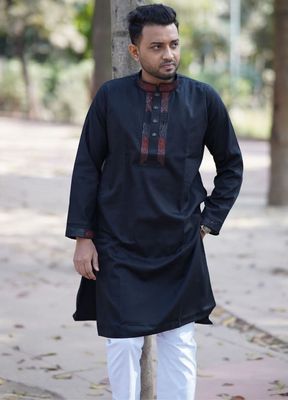 Premium Sequence Panjabi_img_1