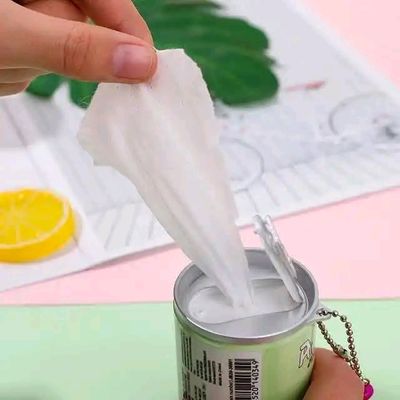 Hello Take Me Home Can Tissue (Wet Wipes)_img_3