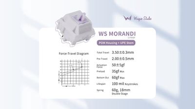 WS Morandi 5Pin Linear Switch_img_1