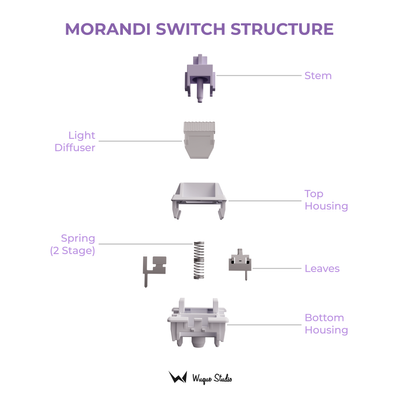 WS Morandi 5Pin Linear Switch_img_2