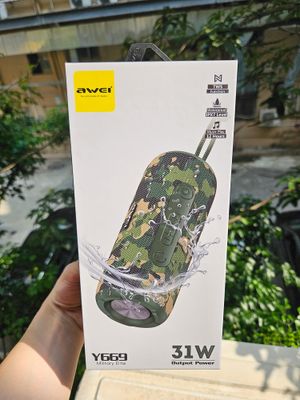 Awei Y669 Military Elite Special Edition Outdoor Dual Speaker (31W)_img_3