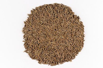 জিরা ( ১০০ গ্রাম ) -  jira 100g_img_0