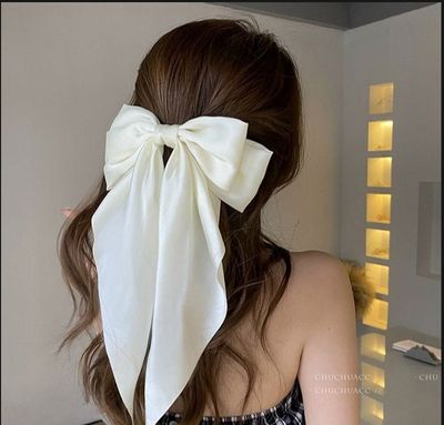 premium quality beautiful hair bow clip..._img_0
