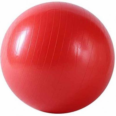 Anti Burst gym massage exercise and fitness ball 75cm with pump_img_1