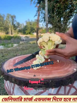 চপিং বোর্ড_img_10