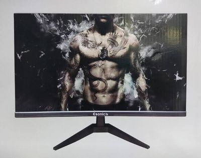 Esonic 19 inch_img_0