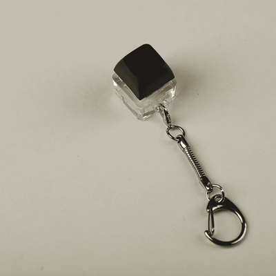 Switch Tester Keychain-1 Key_img_0