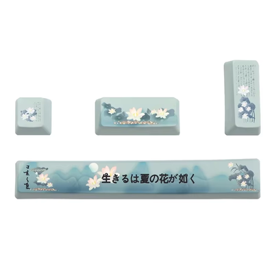 PBT 4Key Set with Spacebar- Cherry Blossom_img_0