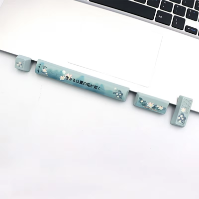 PBT 4Key Set with Spacebar- Cherry Blossom_img_1