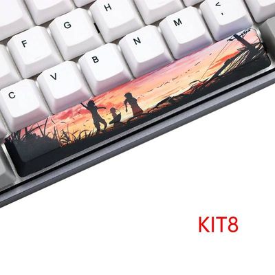 Single Spacebar- Sunset_img_0