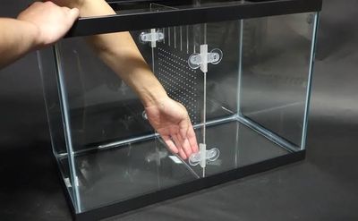 Aquarium glass divider clip_img_1