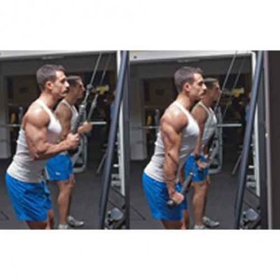 Exercise Triceps Rope Double Head_img_2