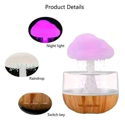 Rain Cloud Humidifier_img_1
