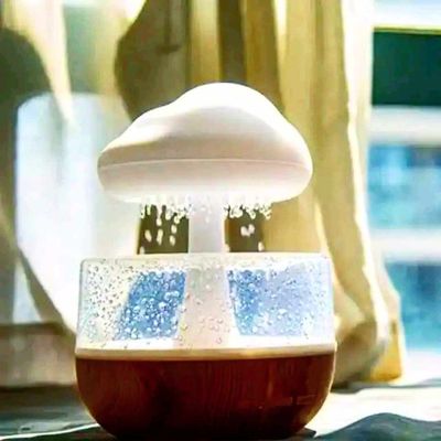 Rain Cloud Humidifier_img_2