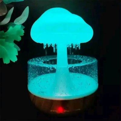 Rain Cloud Humidifier_img_4