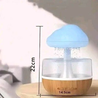 Rain Cloud Humidifier_img_5