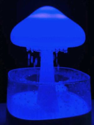Rain Cloud Humidifier_img_6