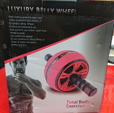 Ab roller total body exercise