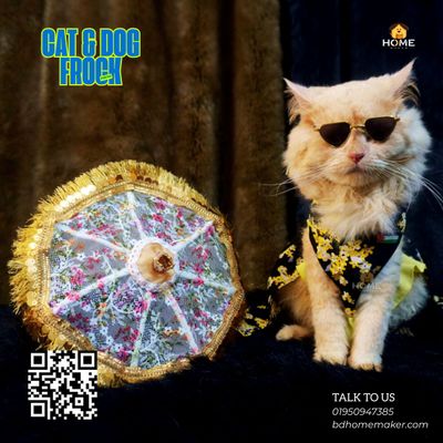 Latest Exclusive Cat Frock (custome)_img_3