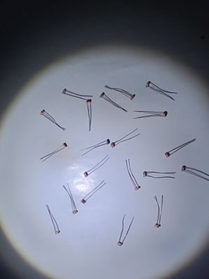 (CODE 56) LDR/ Light depend resistant ( mini size)/light dependent register_img_3
