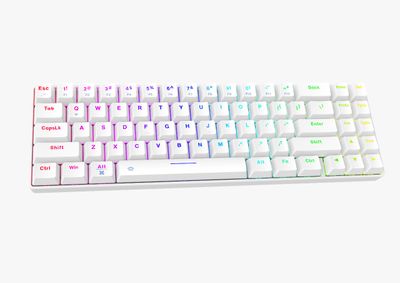 Dareu EK871 GTR – RGB Hot Swappable Wireless Mechanical Keyboard_img_2