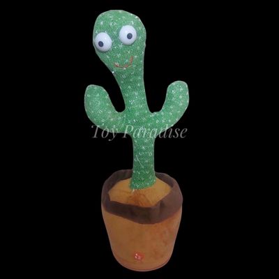 Talking Cactus_img_0