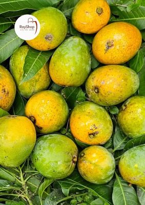 ২০ কেজি ||  রাজশাহীর খাঁটি হিমসাগর আম_img_2