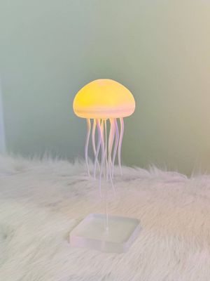Jelly Fish Lamp_img_8