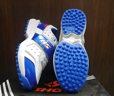 HS 41 PRO Sports Shoes_img_0