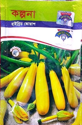 হাইব্রিড হলুদ জাতের স্কোয়াস বীজ কল্পনা । Hybrid variety squash seeds imagination. ( Yellow colour )_img_0