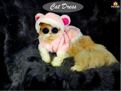 cat_img_0