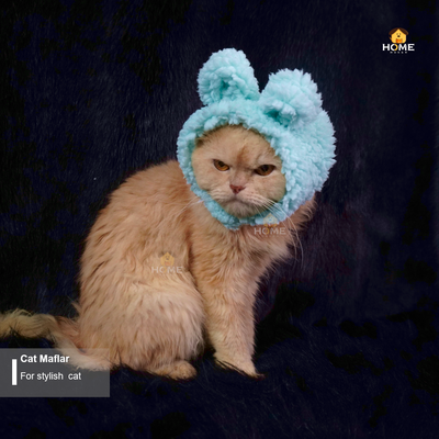 Cat Maflar_img_7