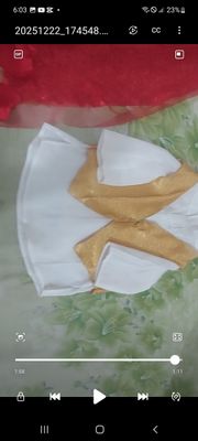 panjabi custome_img_0