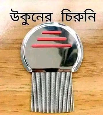 Lice comb nit comb উকুনের চিরুনী_img_0