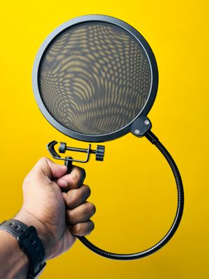 Wind Pop Filter For Microphone_img_2