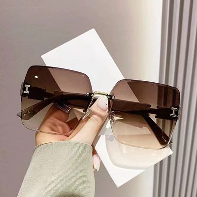 Big size sunglass_img_2