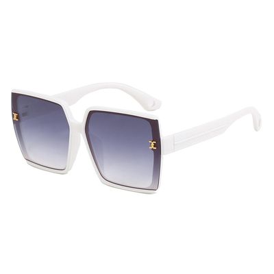 Big size sunglass_img_1