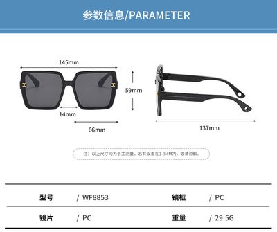 Big size sunglass_img_4