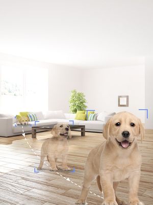 📸 Ezviz H6c Smart Home IP Camera (1080p): আপনার ঘরের নিরাপত্তার সেরা সমাধান! 🏡_img_4