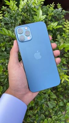 iPhone 12 pro max_img_1