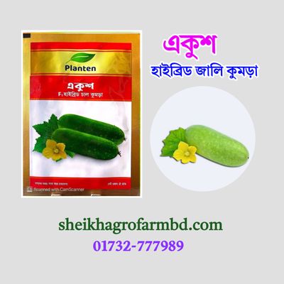 একুশ (হাইব্রিড চাল কুমড়া)_img_0