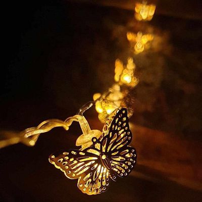 Fairy light_img_1