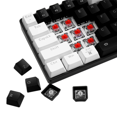 Dareu EK861S Wired RGB Gaming Mechanical Keyboard_img_6