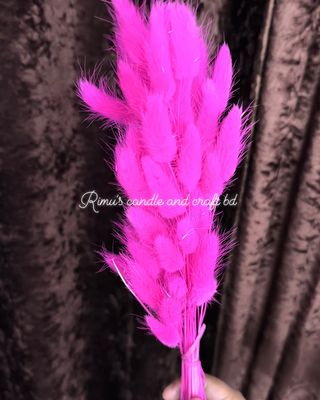 bunny tail driyed flower_img_2