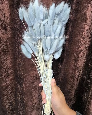 bunny tail driyed flower_img_7