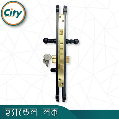 উচ্চ সুরক্ষার বড় আকারের হ্যান্ডেল লক অতিরিক্ত নব সহ প্রধান দরজার লক নতুন রঙের ডোর লক_img_3
